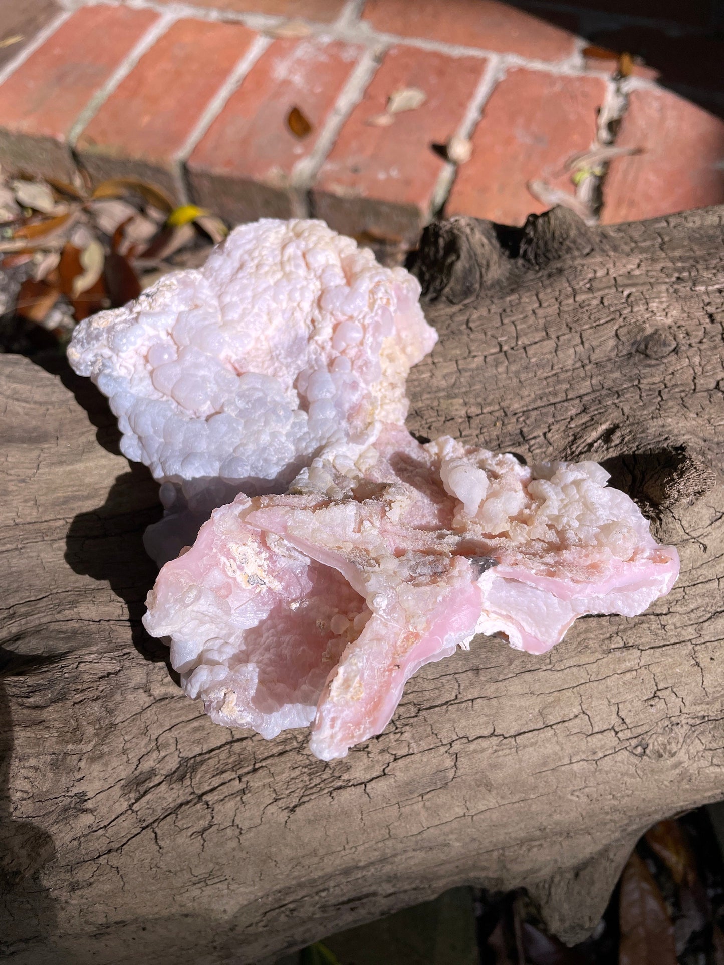Rare Beautiful Botryoidal Natural Pink Opal from Ica, Peru Specimen 338g Mineral Crystal