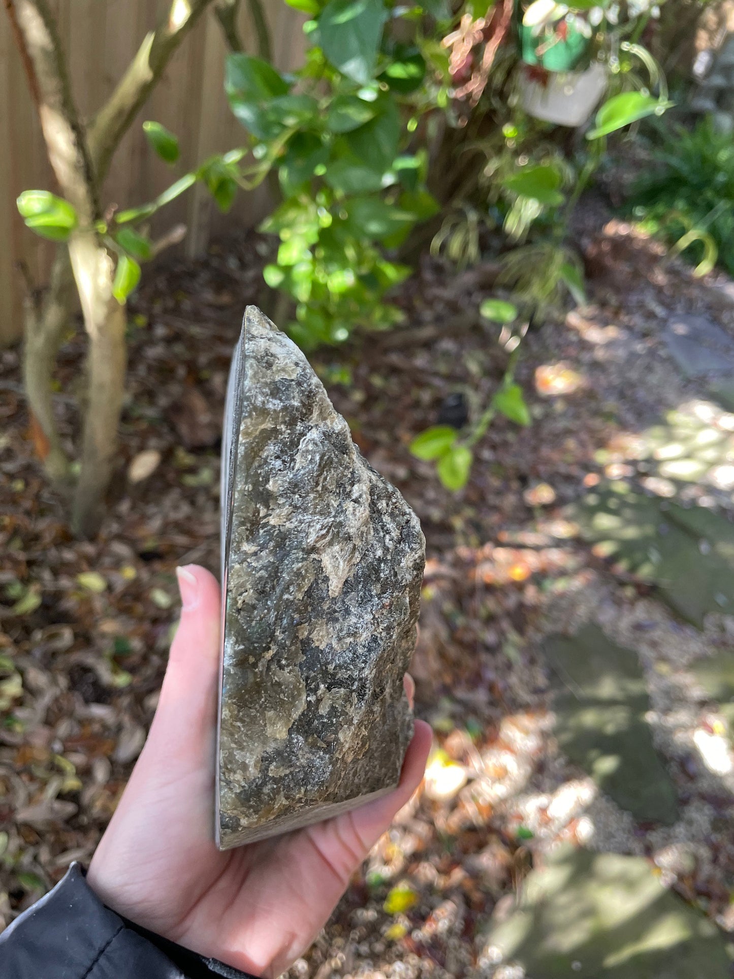 Large Half Polished Polished Labradorite Free Form 1614g 3lbs 8.9oz From Madagascar Great Flash