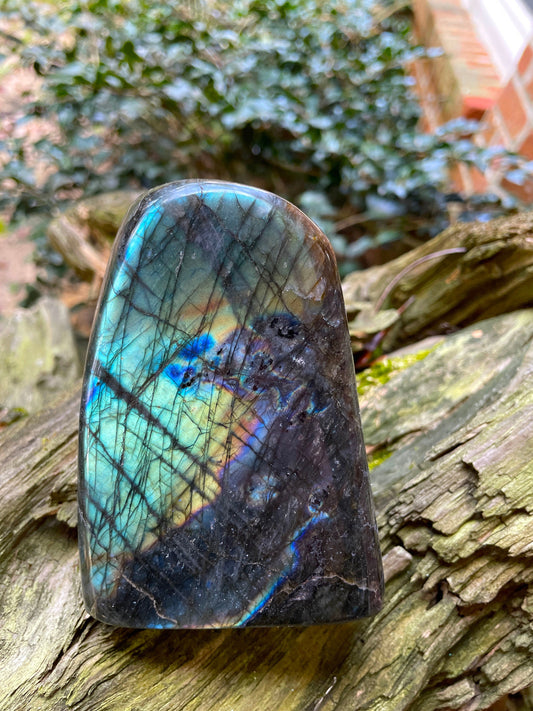 Polished Rainbow Labradorite Free Form 810g 1lb 12.6oz From Madagascar Mineral Crystal