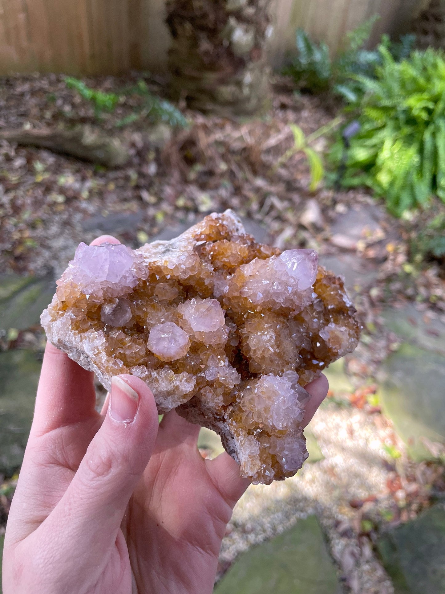 Pale Amethyst w/Hematite and Iron Spirit Quartz Cluster 532g Specimen From Mpumalanga South Africa