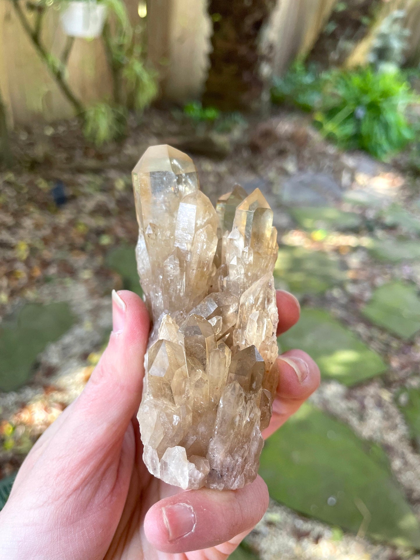 Natural Smokey Citrine Elestial Cathedral Quartz From Congo 265.3g Specimen Mineral Crystal