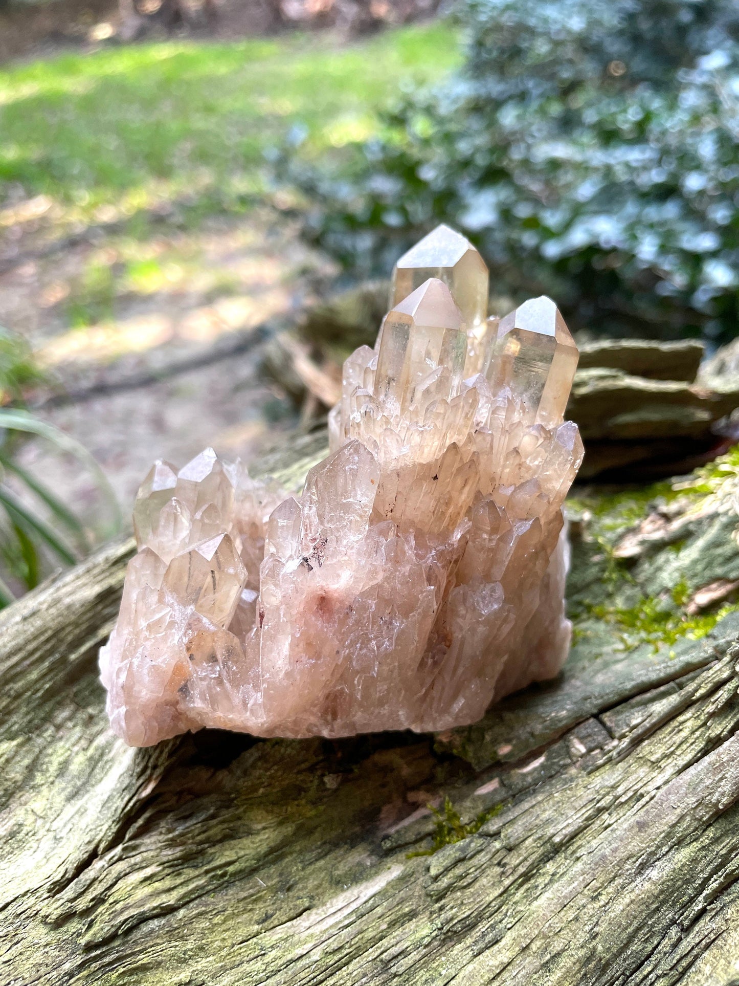 Natural Smokey Citrine Elestial Cathedral Quartz From Congo 265.3g Specimen Mineral Crystal
