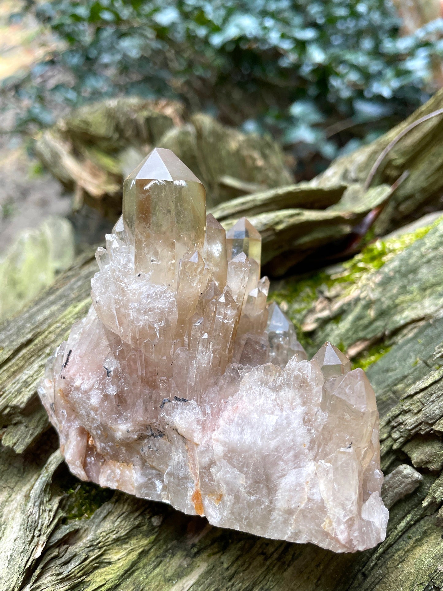 Natural Smokey Citrine Elestial Cathedral Quartz From Congo 265.3g Specimen Mineral Crystal