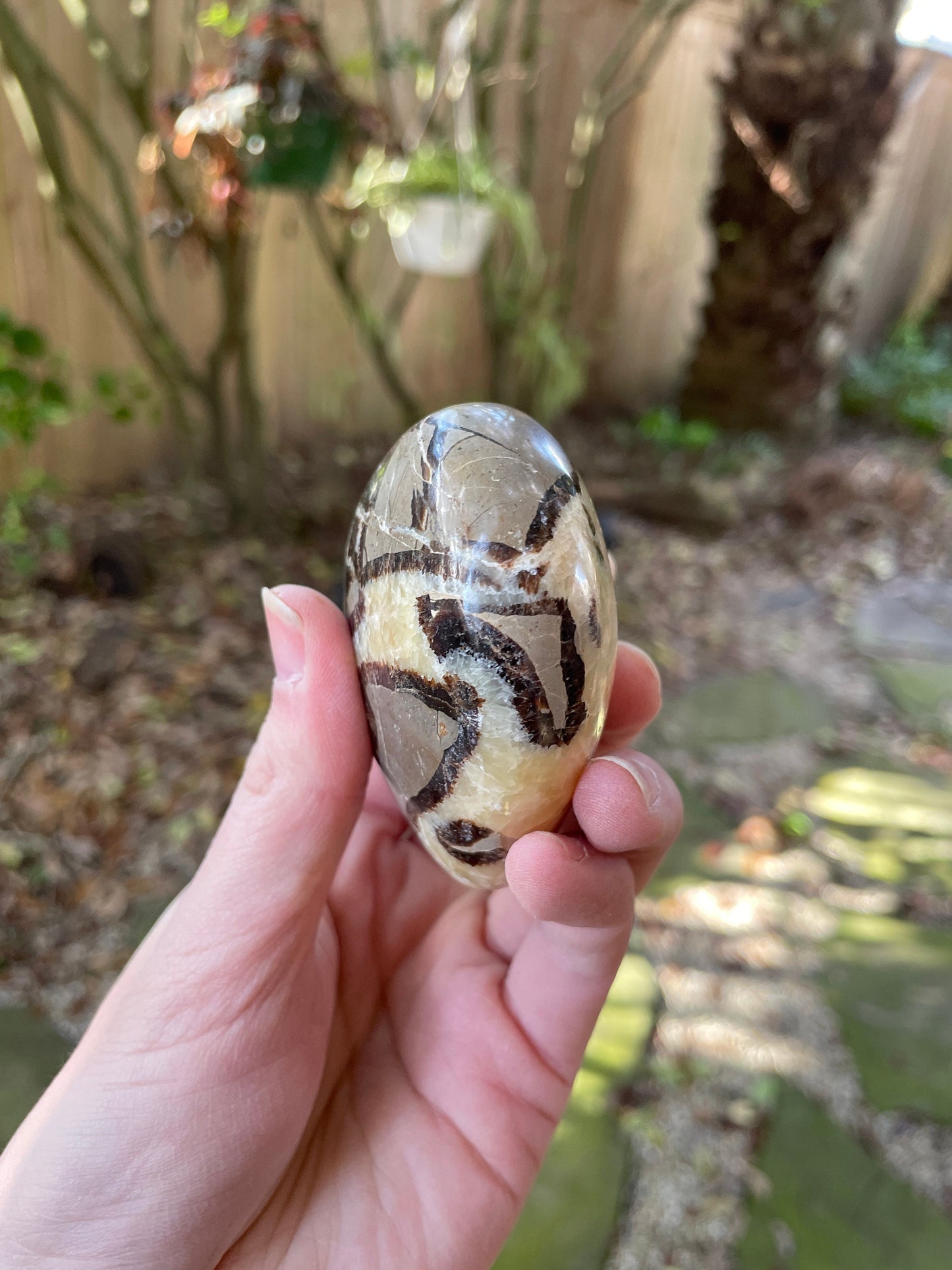 Lovely Septarian Calcite Polished Heart Stone Madagascar 257.7g Specimen