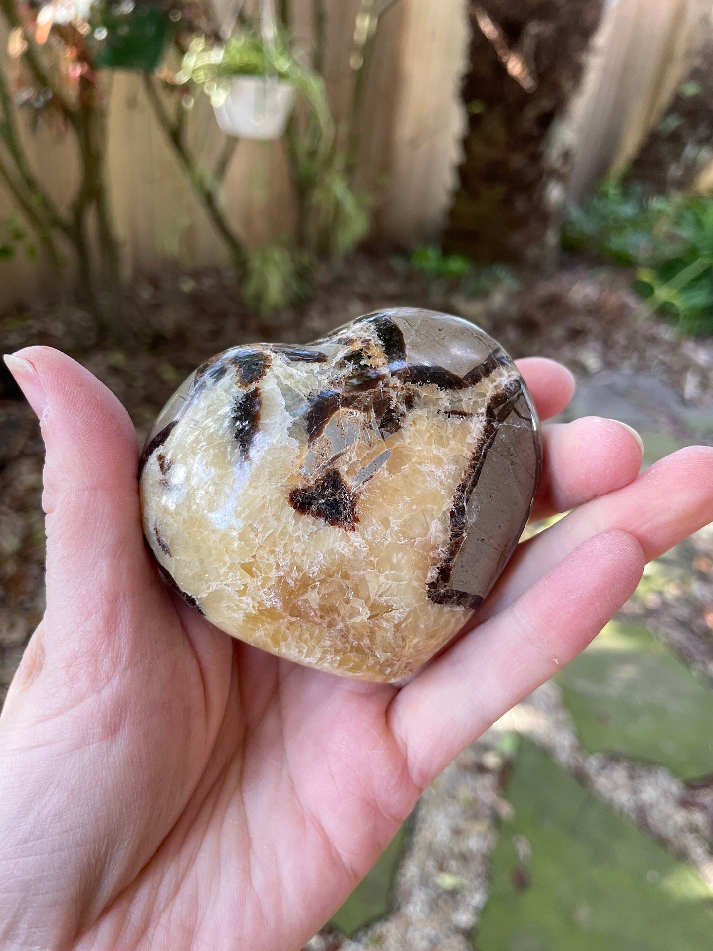 Lovely Septarian Calcite Polished Heart Stone Madagascar 257.7g Specimen