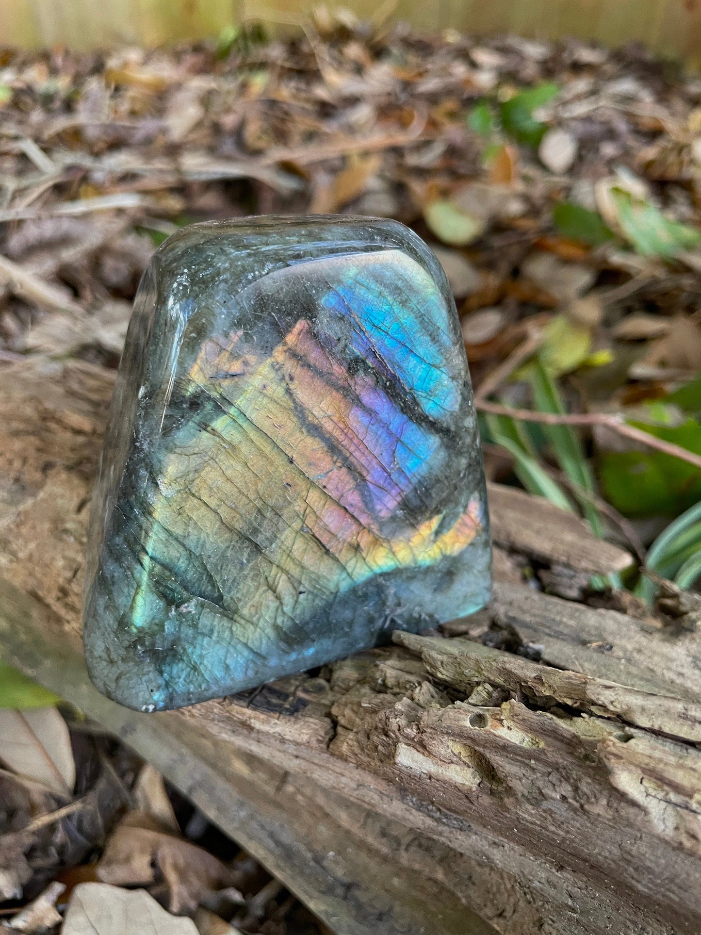 Polished Rainbow Labradorite Free Form 454g From Madagascar Mineral Crystal