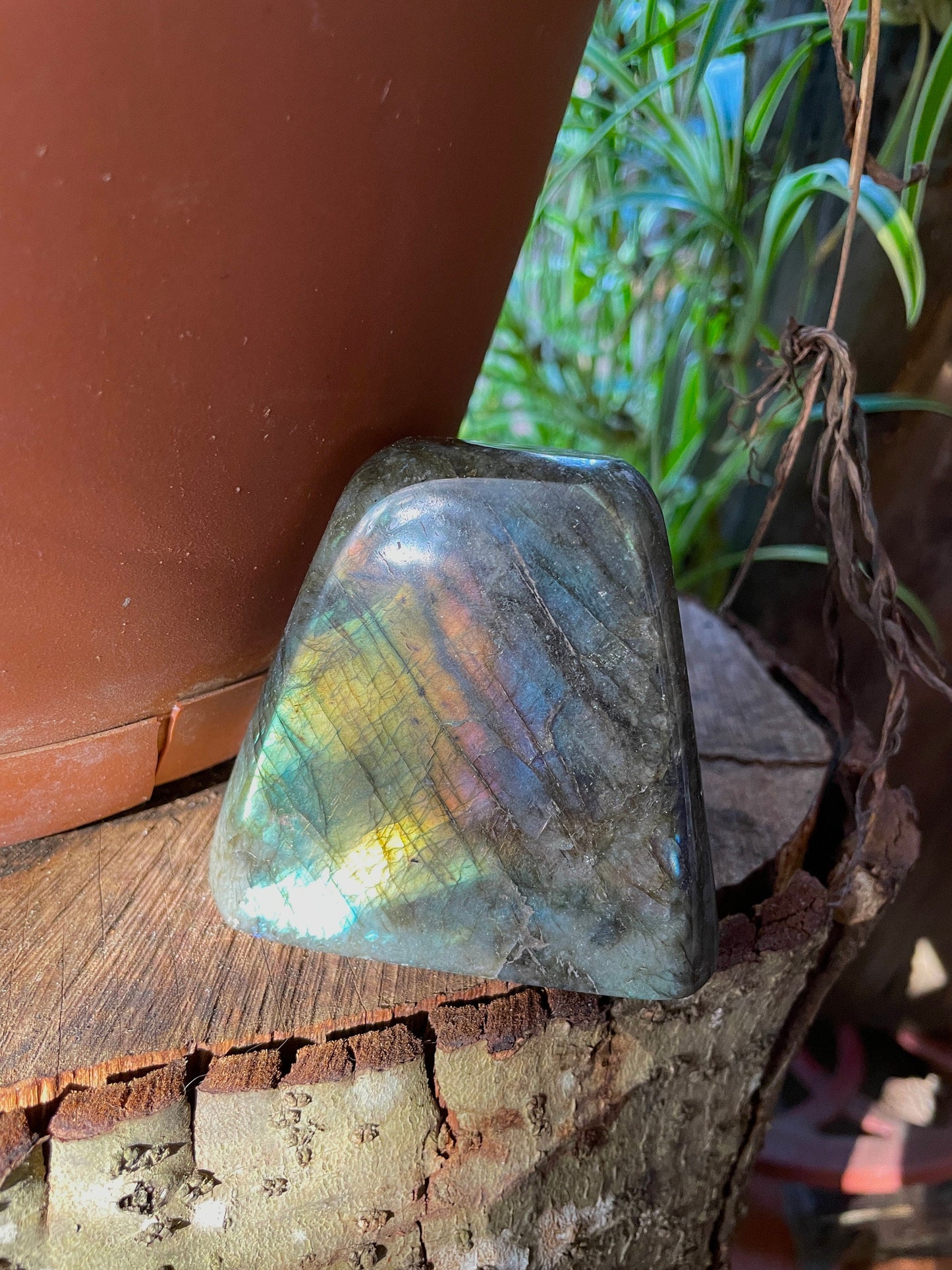 Polished Rainbow Labradorite Free Form 454g From Madagascar Mineral Crystal