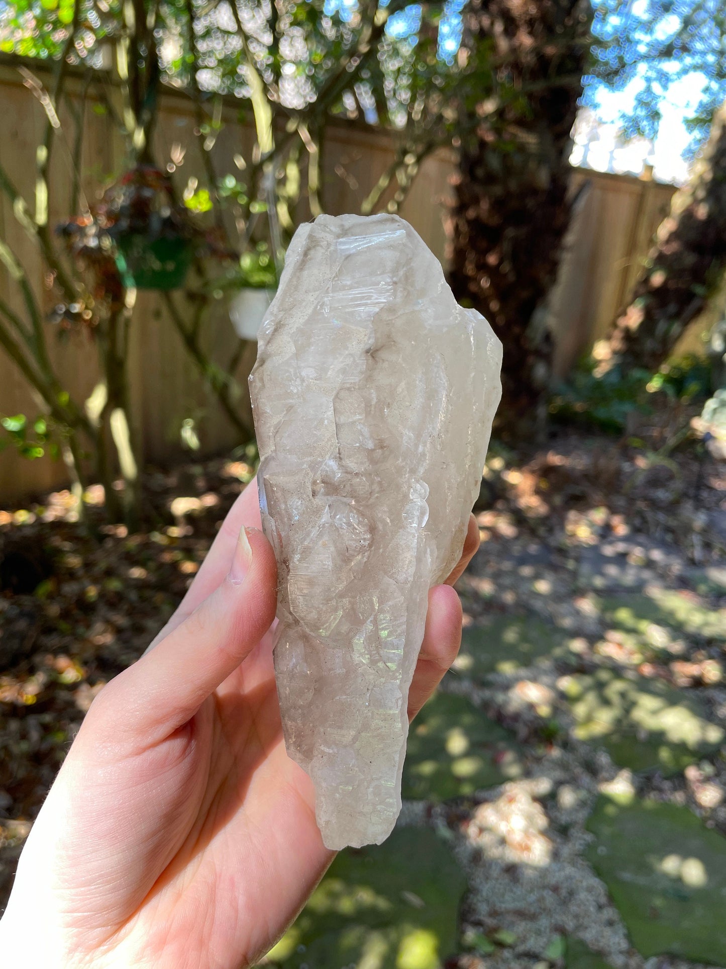 Pale Smokey Elesital Quartz Specimen from Minas Gerais Brazil, 464g
