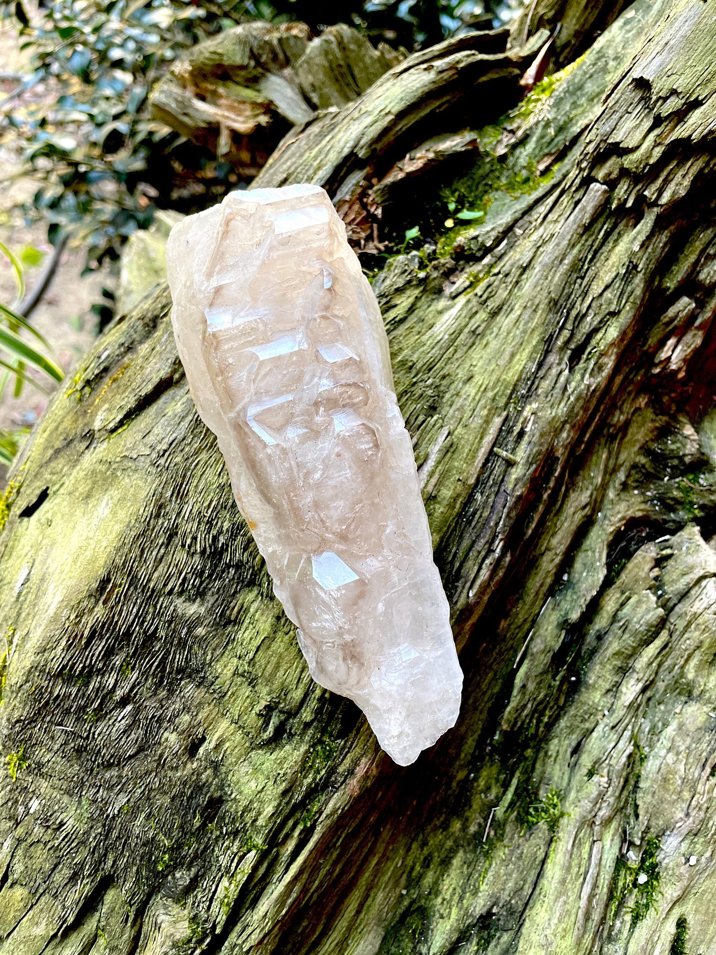 Pale Smokey Elesital Quartz Specimen from Minas Gerais Brazil, 464g
