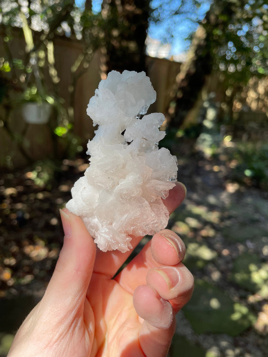 Aragonite Cave Calcite From Mexico 60g Specimen Crystals Minerals