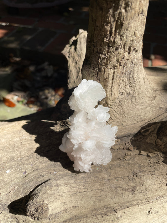Aragonite Cave Calcite From Mexico 60g Specimen Crystals Minerals