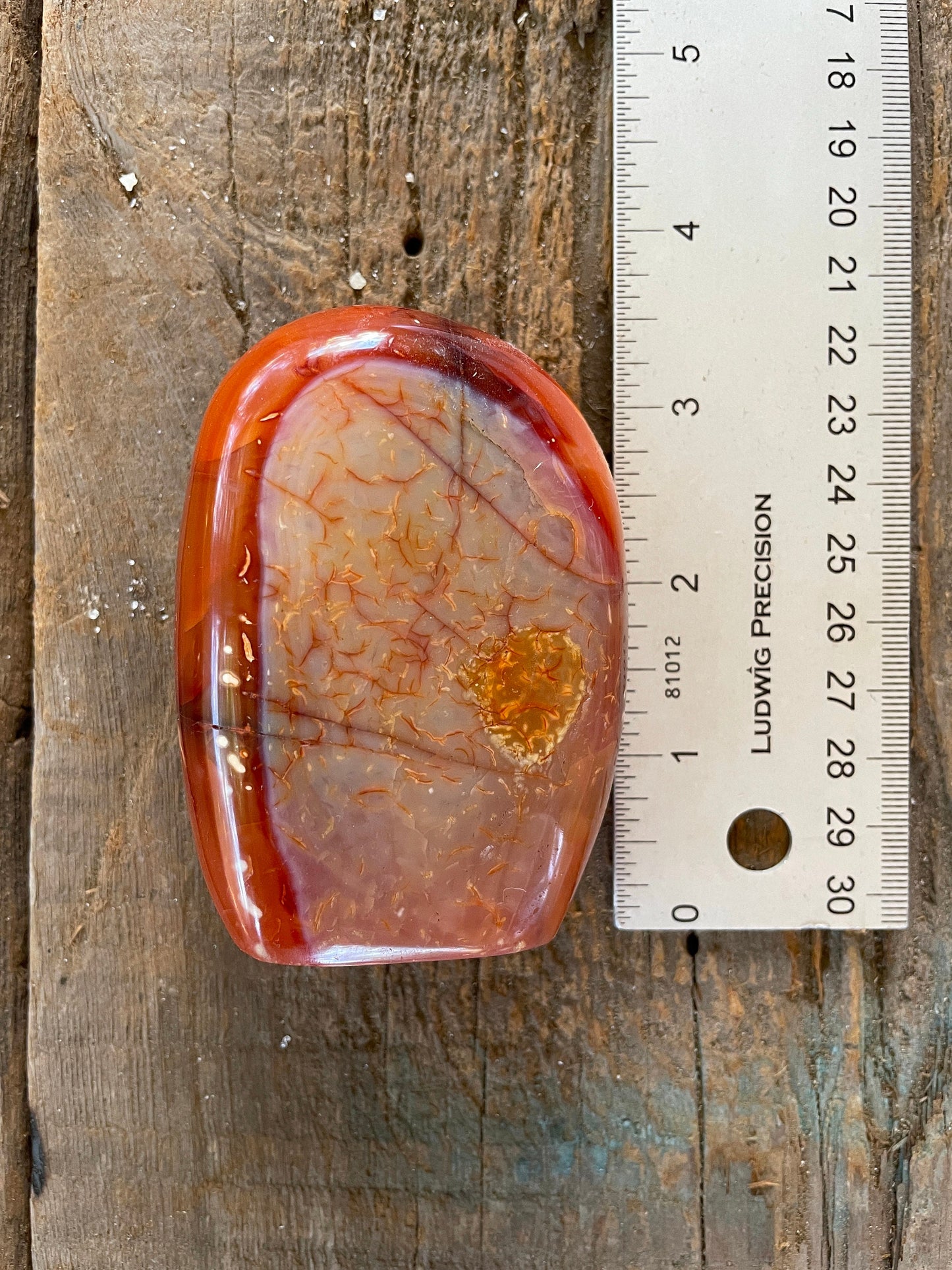 Small Carnelian Free Form Specimen 289.7g From Madagascar Specimen Crystal