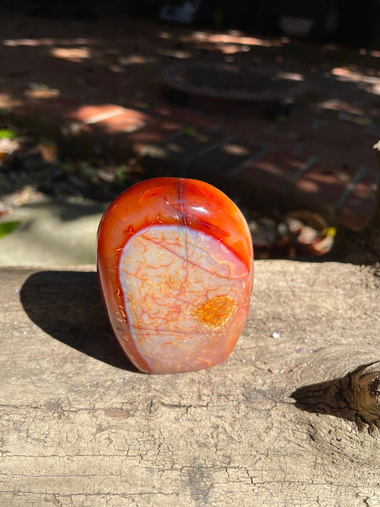 Small Carnelian Free Form Specimen 289.7g From Madagascar Specimen Crystal
