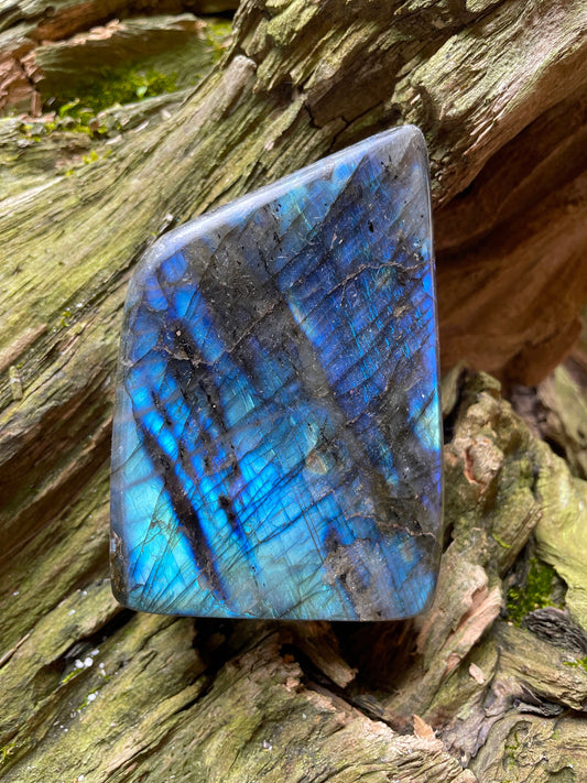 Polished Labradorite Freestanding Free form 466g 1lb 0.5ozSpecimen Great Flash Mineral Crystal