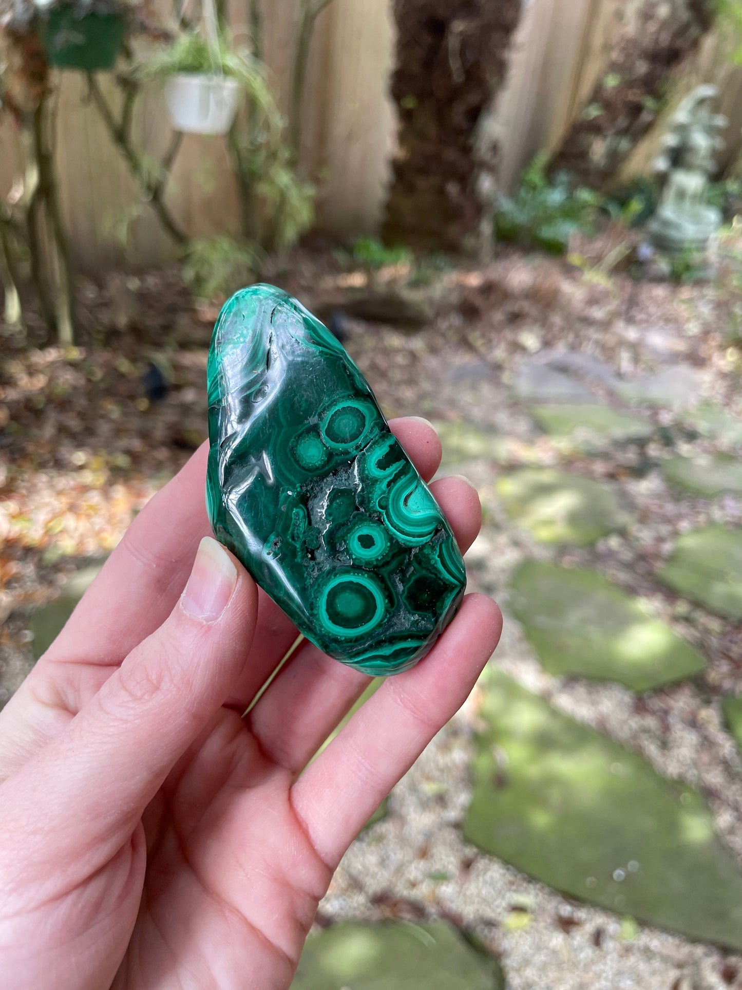 Lovely Polished Malachite Specimen from The Congo 82.3g Mineral Crystal
