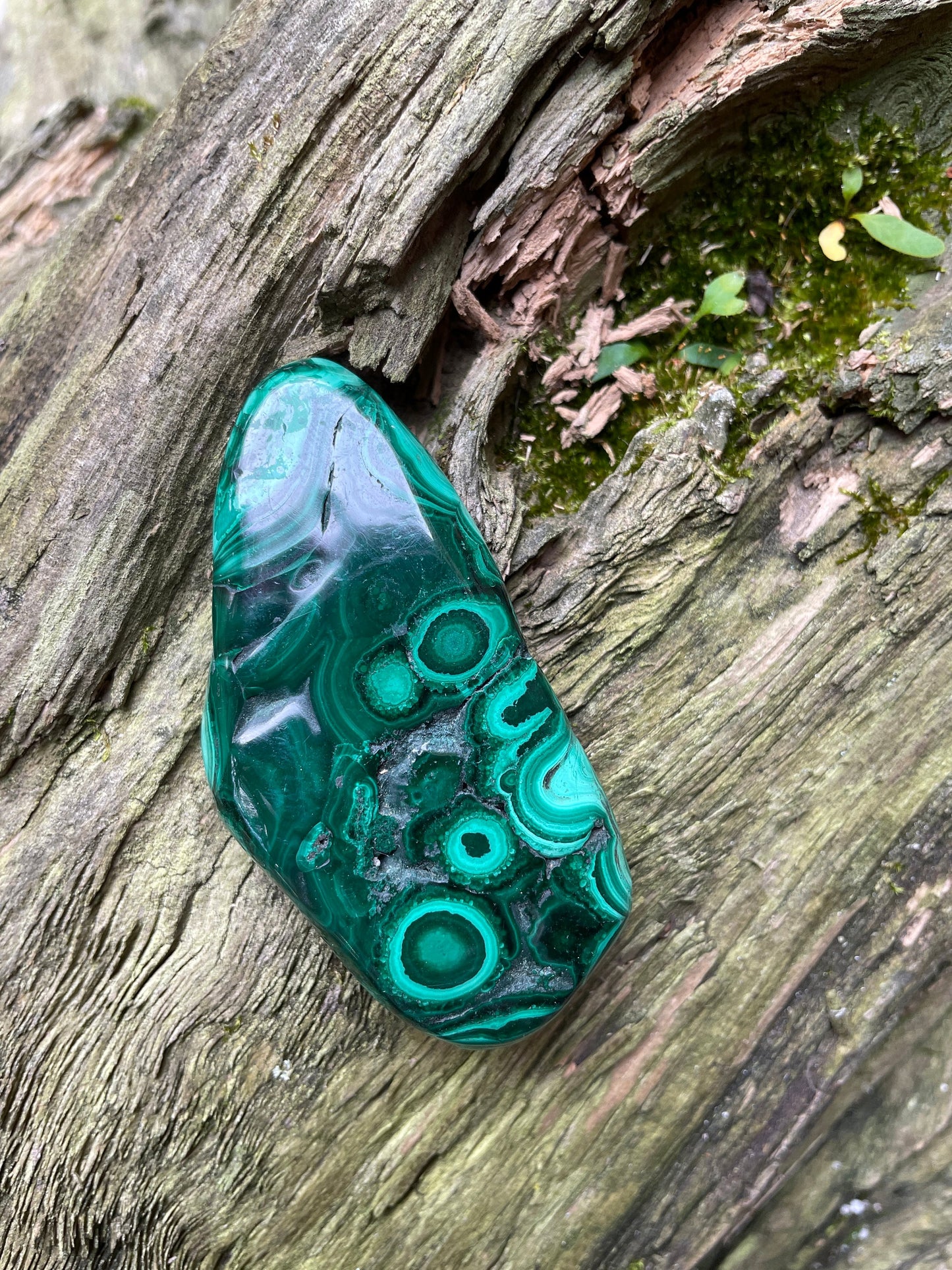 Lovely Polished Malachite Specimen from The Congo 82.3g Mineral Crystal