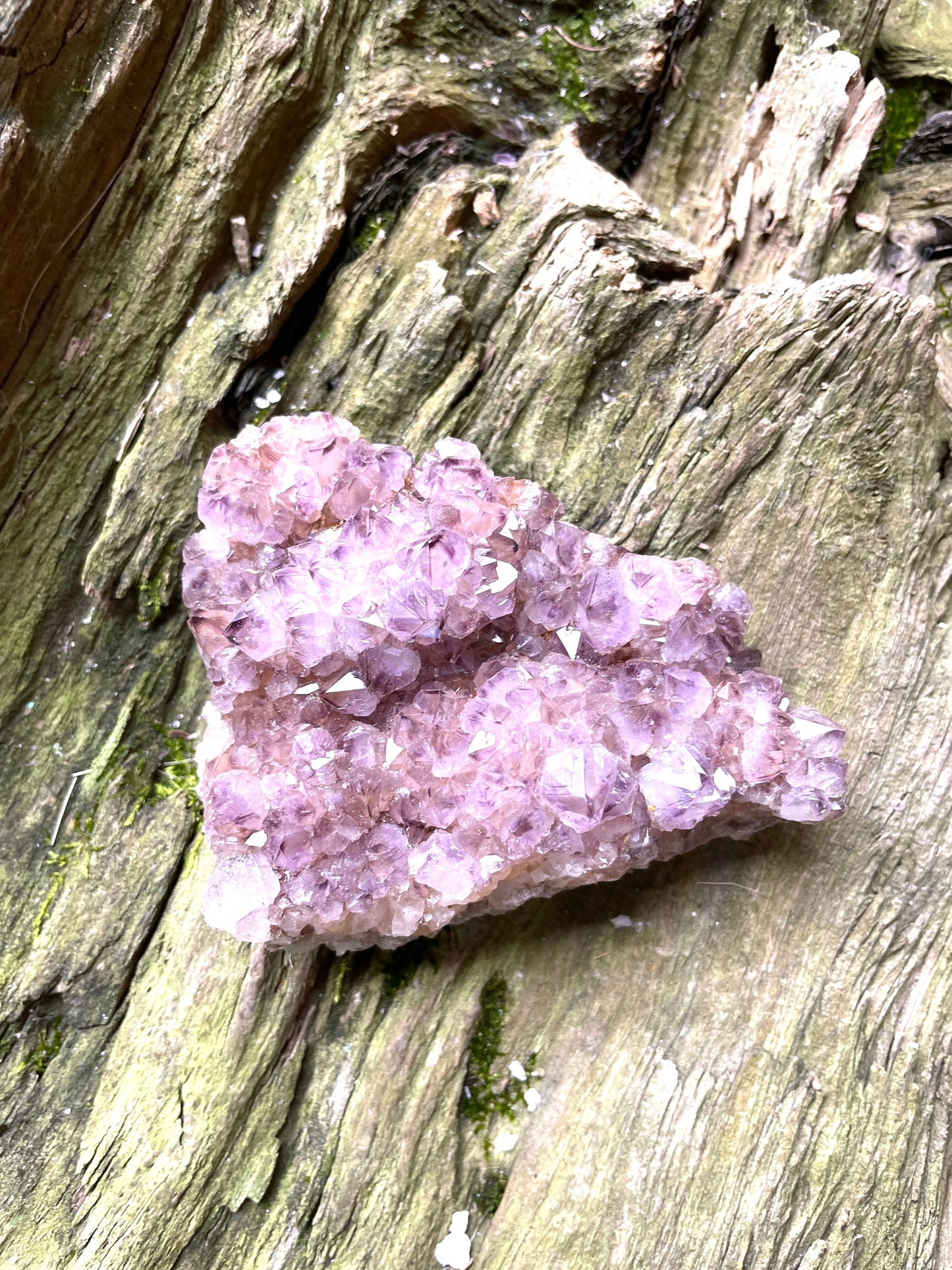 Amethyst Spirit Quartz Cluster 151g Specimen From Mpumalanga South Africa
