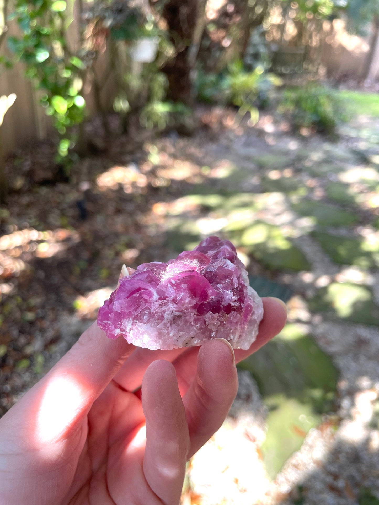 Vibrant 61.7g Cobalt/Cobaltan and Calcite From Bou Azzer Morocco