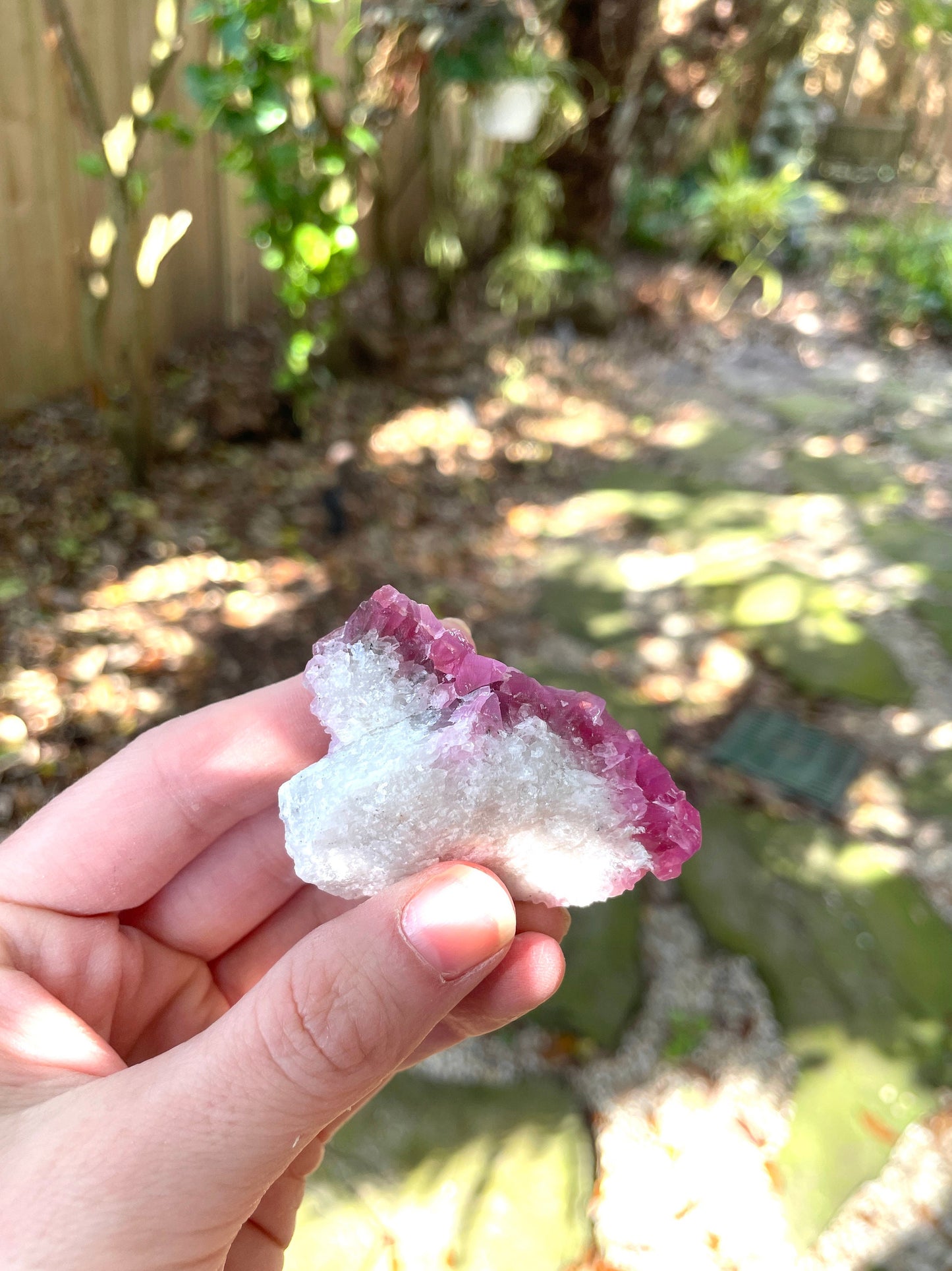 Vibrant 61.7g Cobalt/Cobaltan and Calcite From Bou Azzer Morocco
