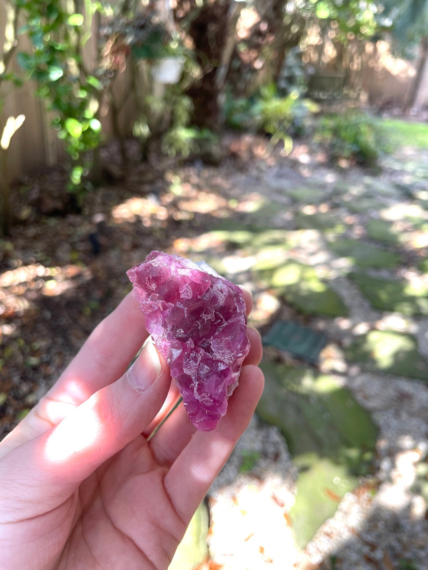 Vibrant 61.7g Cobalt/Cobaltan and Calcite From Bou Azzer Morocco