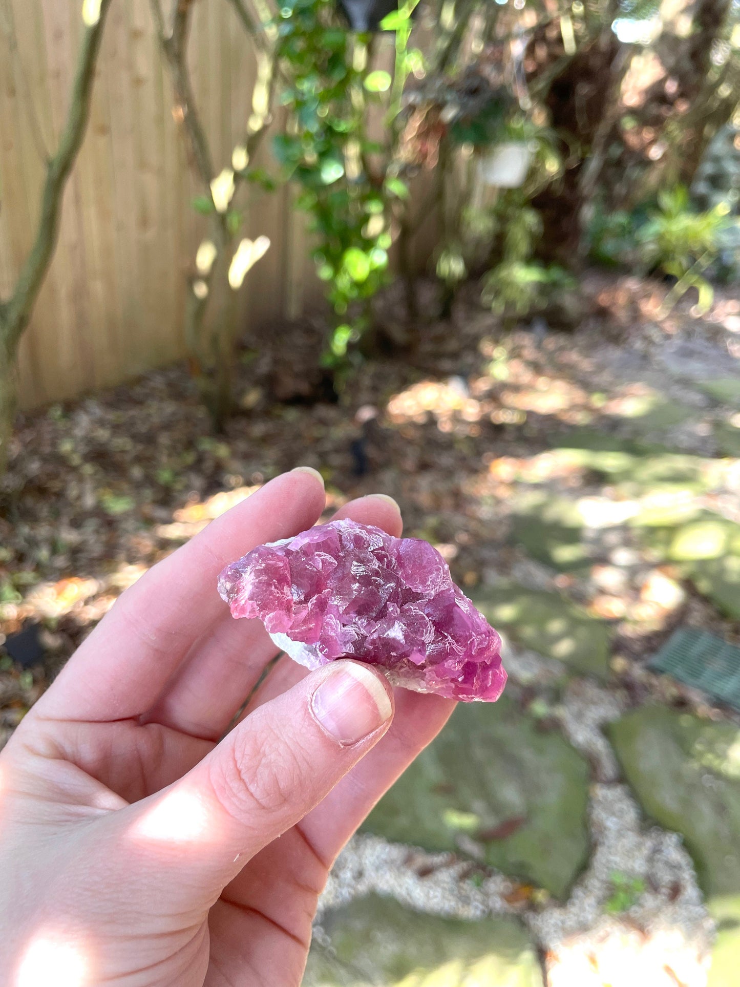 Vibrant 61.7g Cobalt/Cobaltan and Calcite From Bou Azzer Morocco