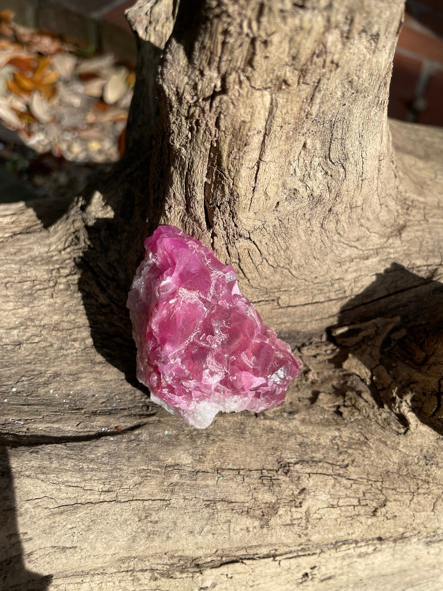 Vibrant 61.7g Cobalt/Cobaltan and Calcite From Bou Azzer Morocco