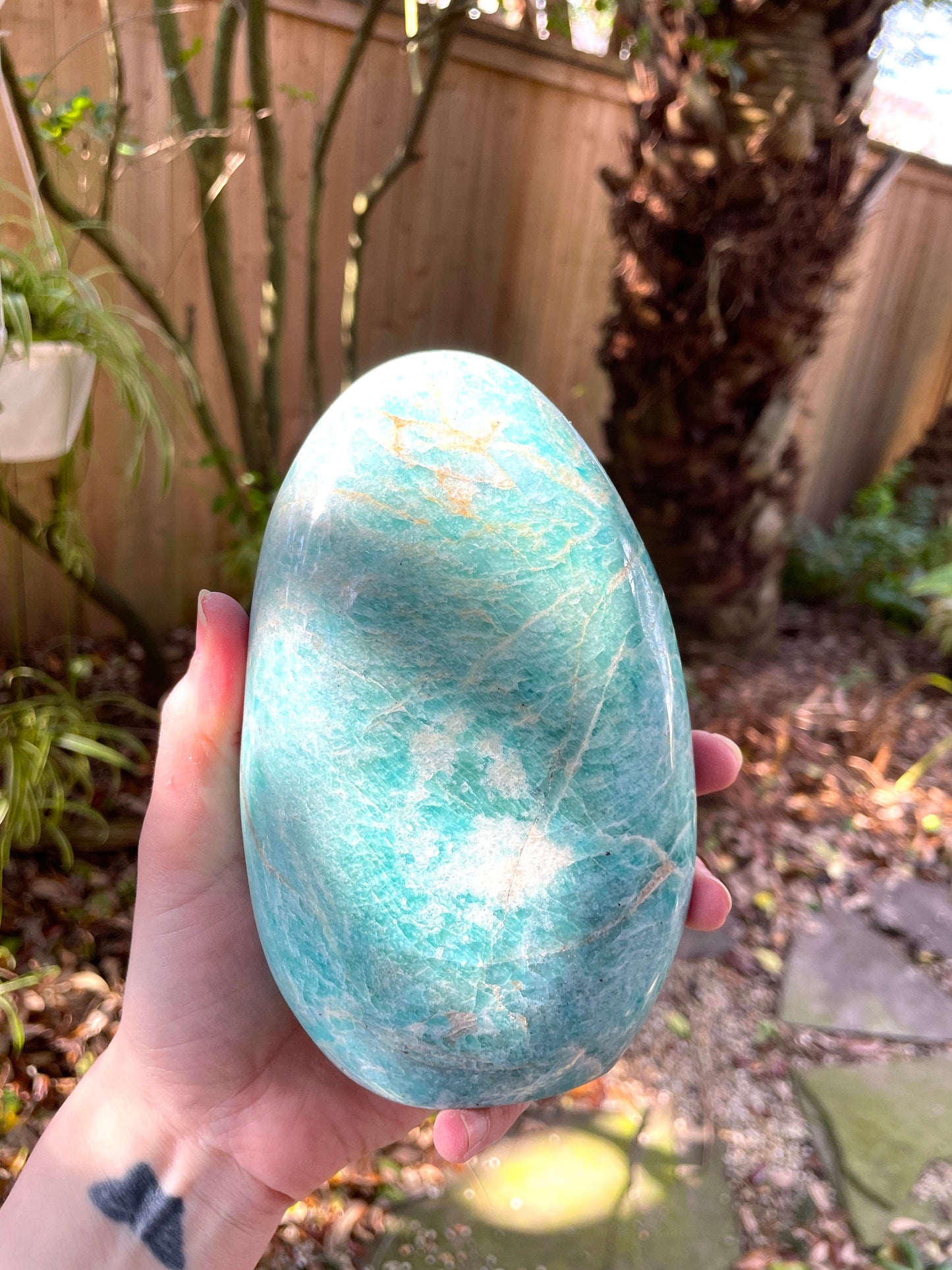 Vivid Polished Amazonite Free Form Display Specimen 830g 1lb 13.4oz From Madagascar