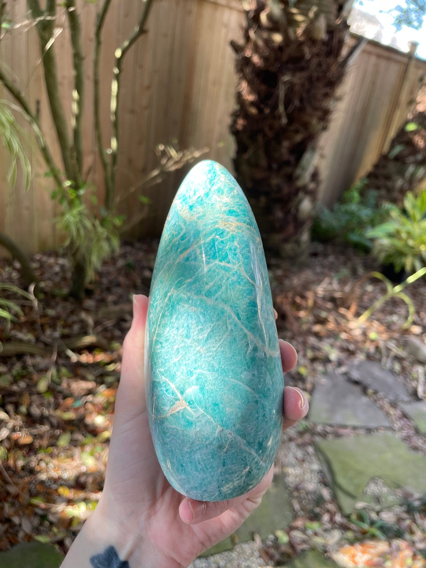 Vivid Polished Amazonite Free Form Display Specimen 830g 1lb 13.4oz From Madagascar