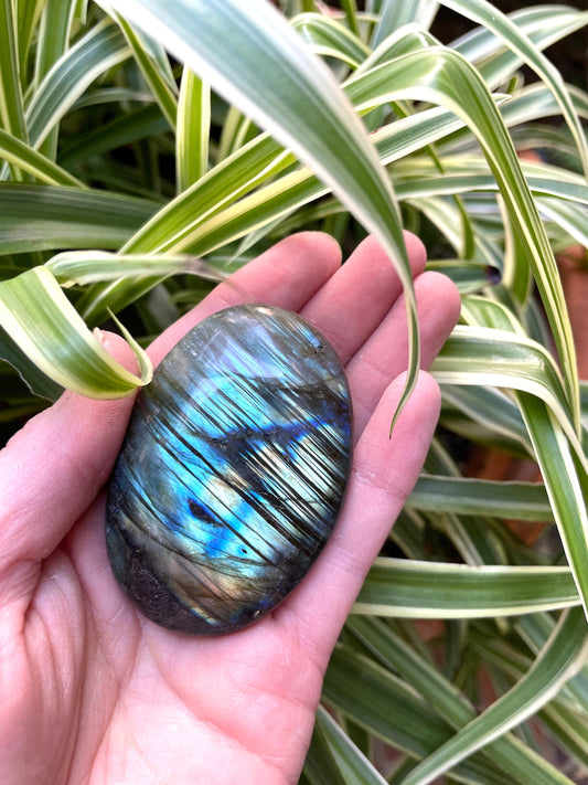 Small Polished Labradorite Palm Stone 86g Great Flash From Madagascar Mineral Crystal