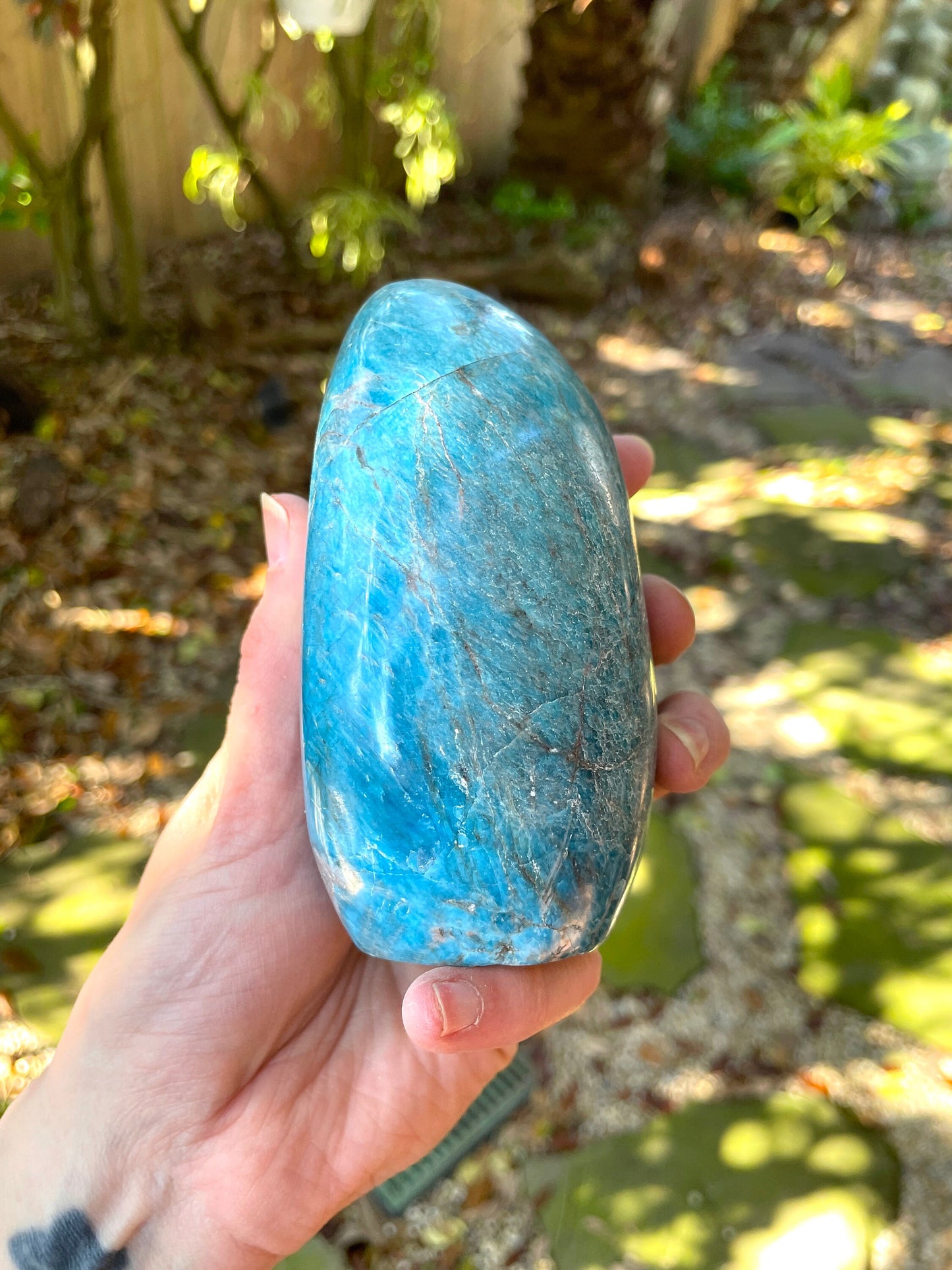 Medium Blue Apatite Polished Free Form from Madagascar 832g 1lb 13.3oz Specimen