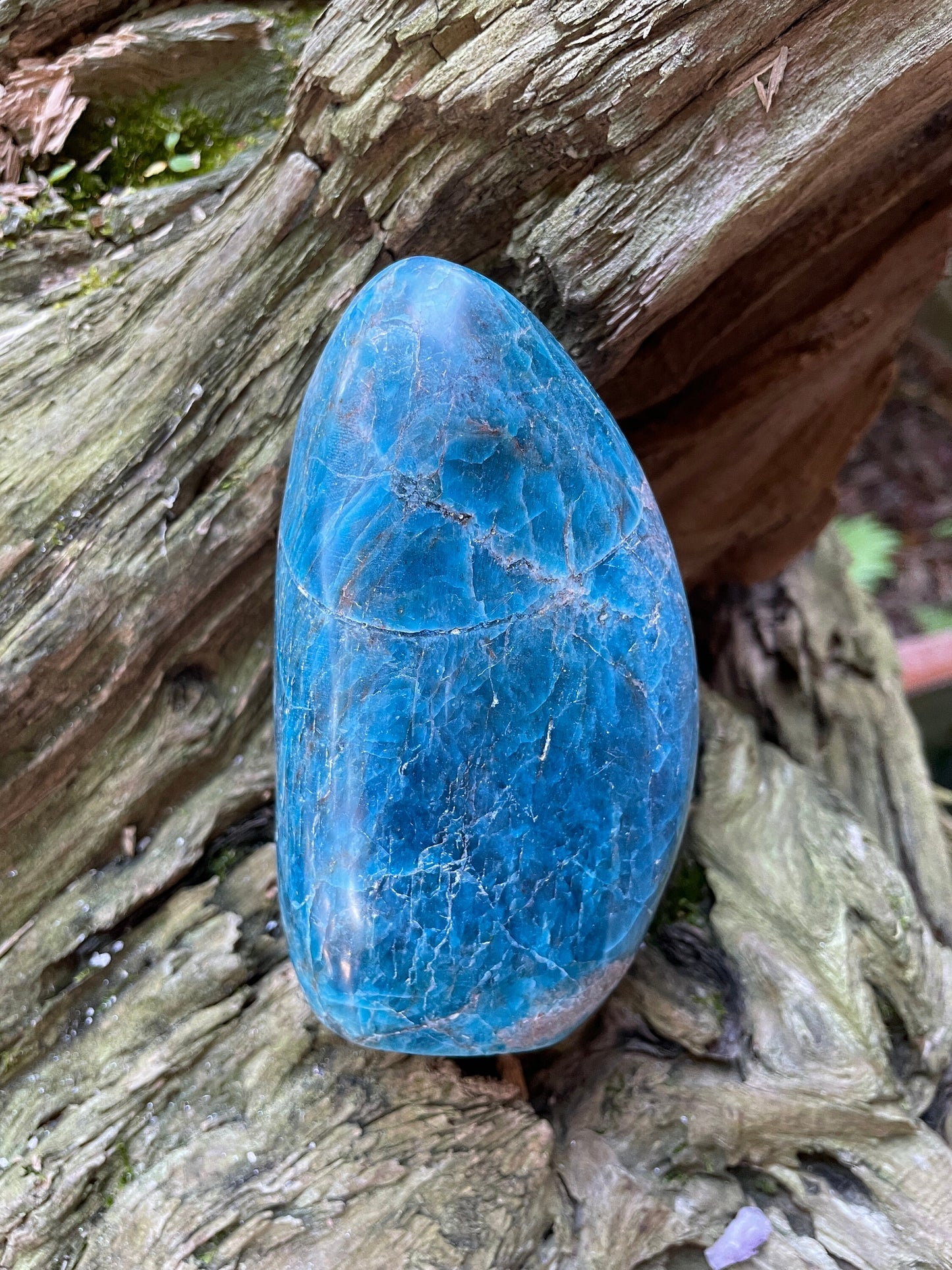 Medium Blue Apatite Polished Free Form from Madagascar 832g 1lb 13.3oz Specimen