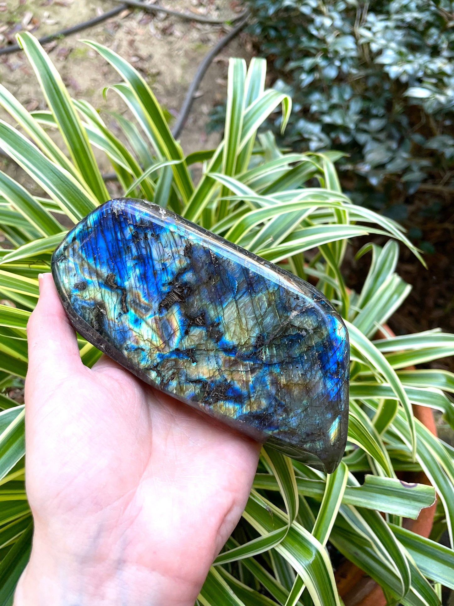Polished Rainbow Labradorite Free Form 780g From Madagascar