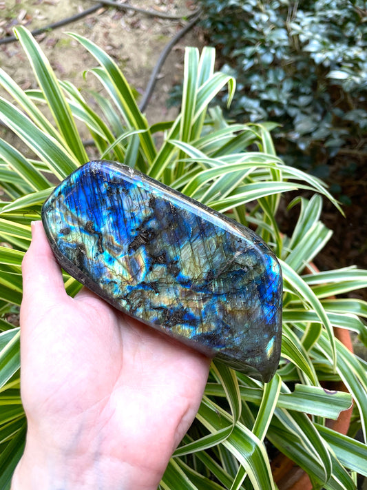 Polished Rainbow Labradorite Free Form 780g From Madagascar