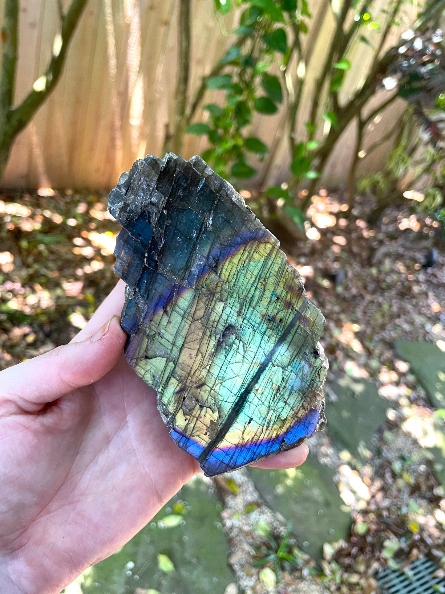 Half Polished Polished Rainbow Labradorite Free Form 594g From Madagascar