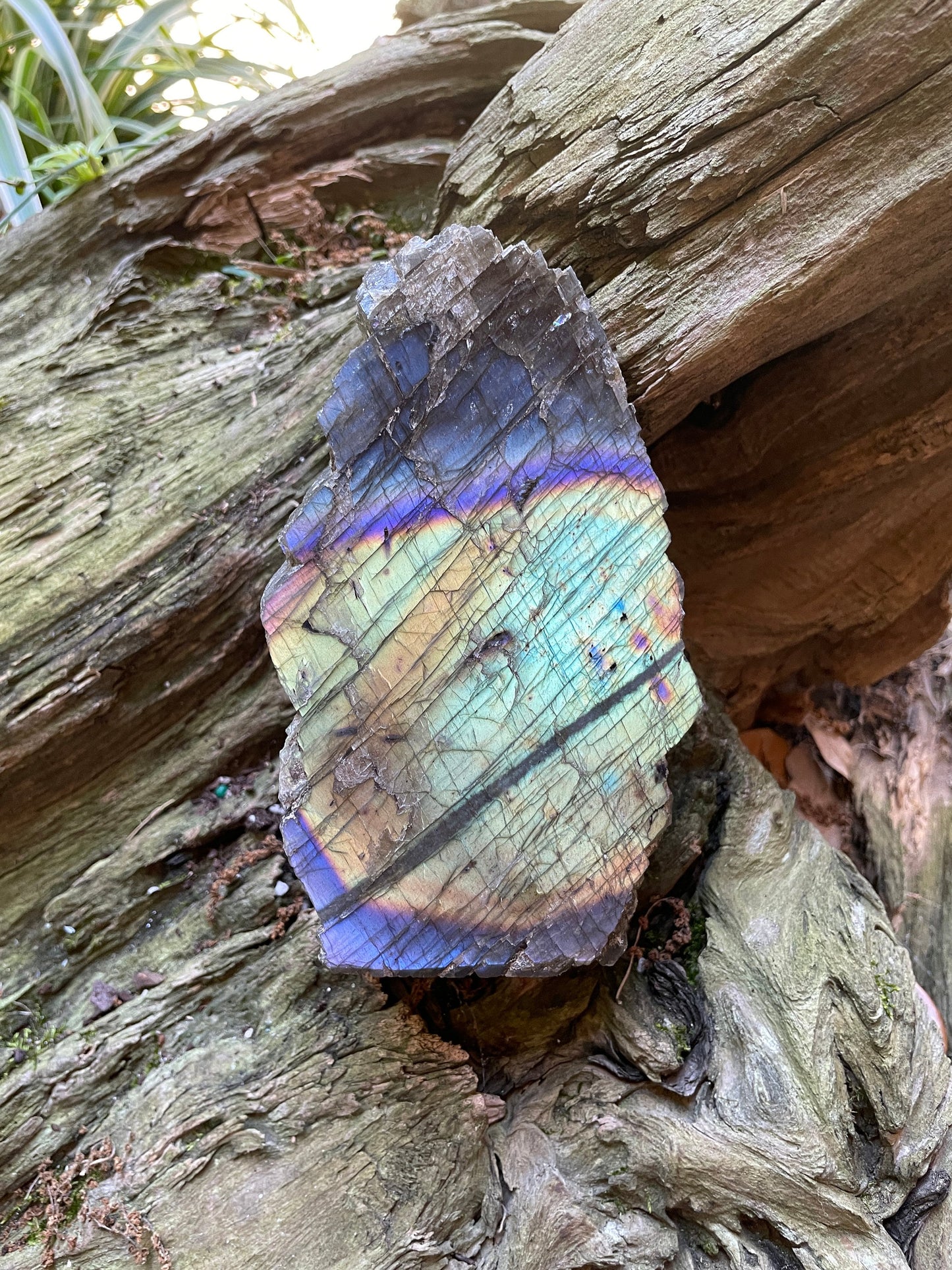 Half Polished Polished Rainbow Labradorite Free Form 594g From Madagascar