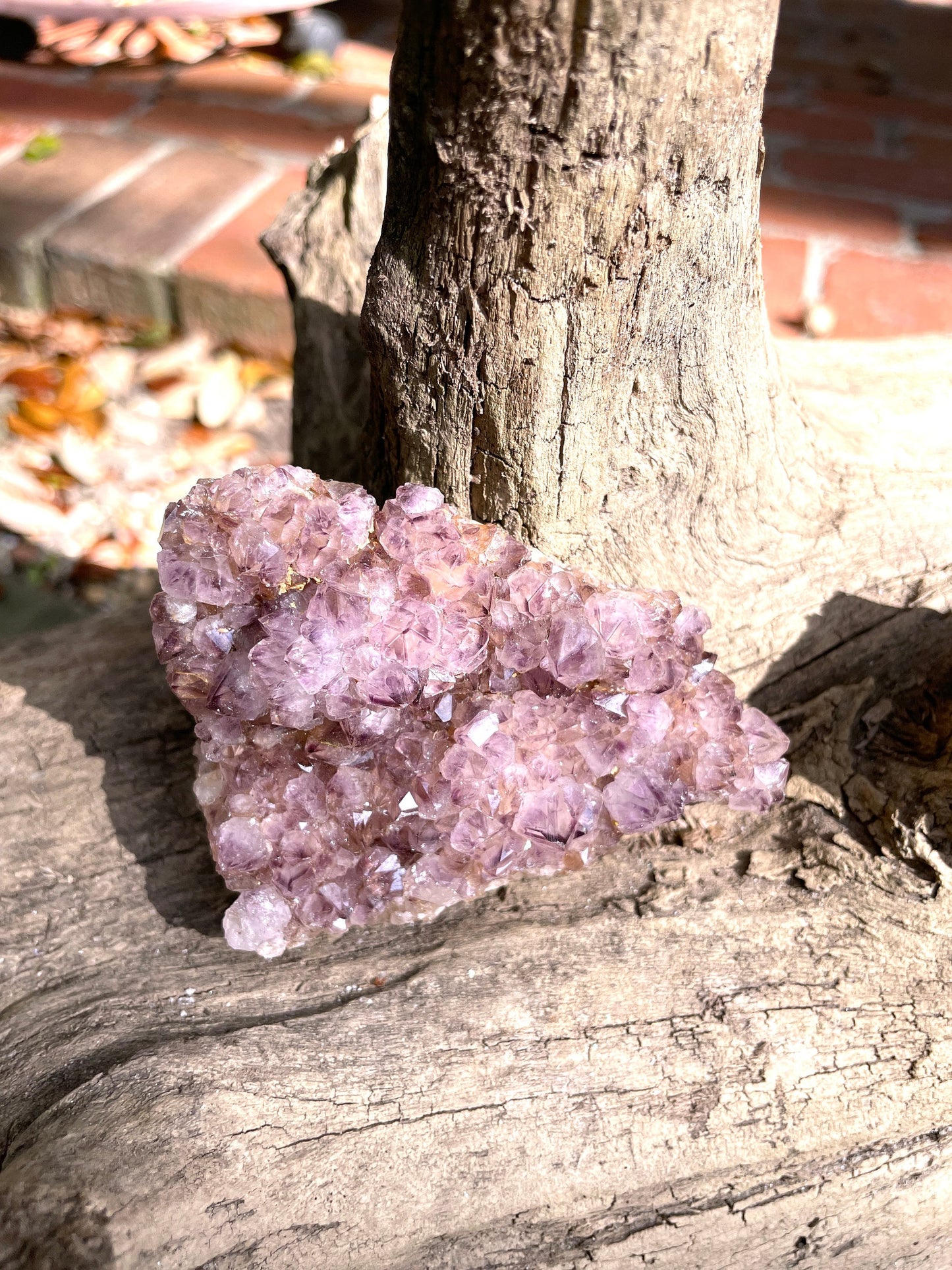 Amethyst Spirit Quartz Cluster 151g Specimen From Mpumalanga South Africa