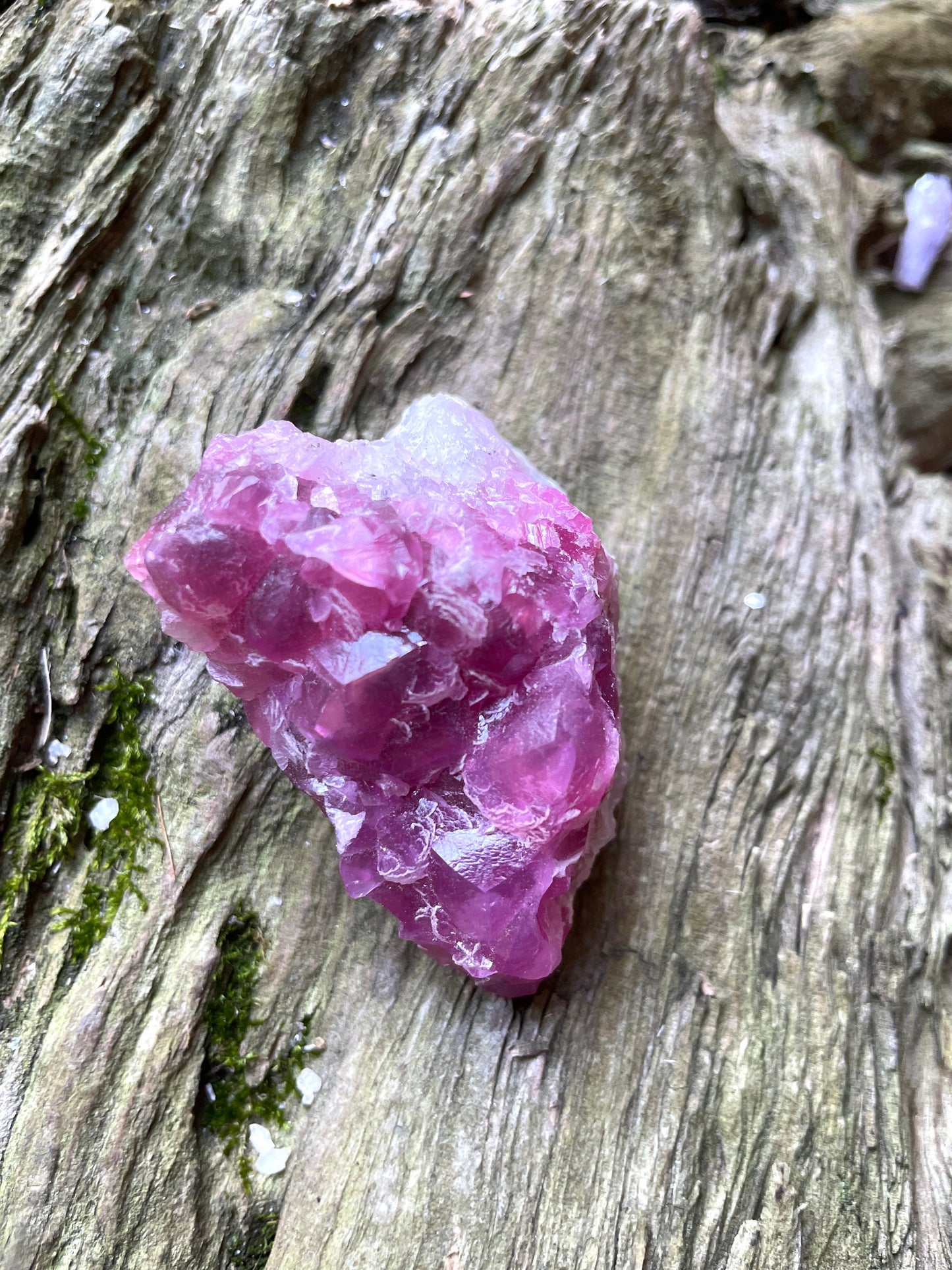 Vibrant 61.7g Cobalt/Cobaltan and Calcite From Bou Azzer Morocco