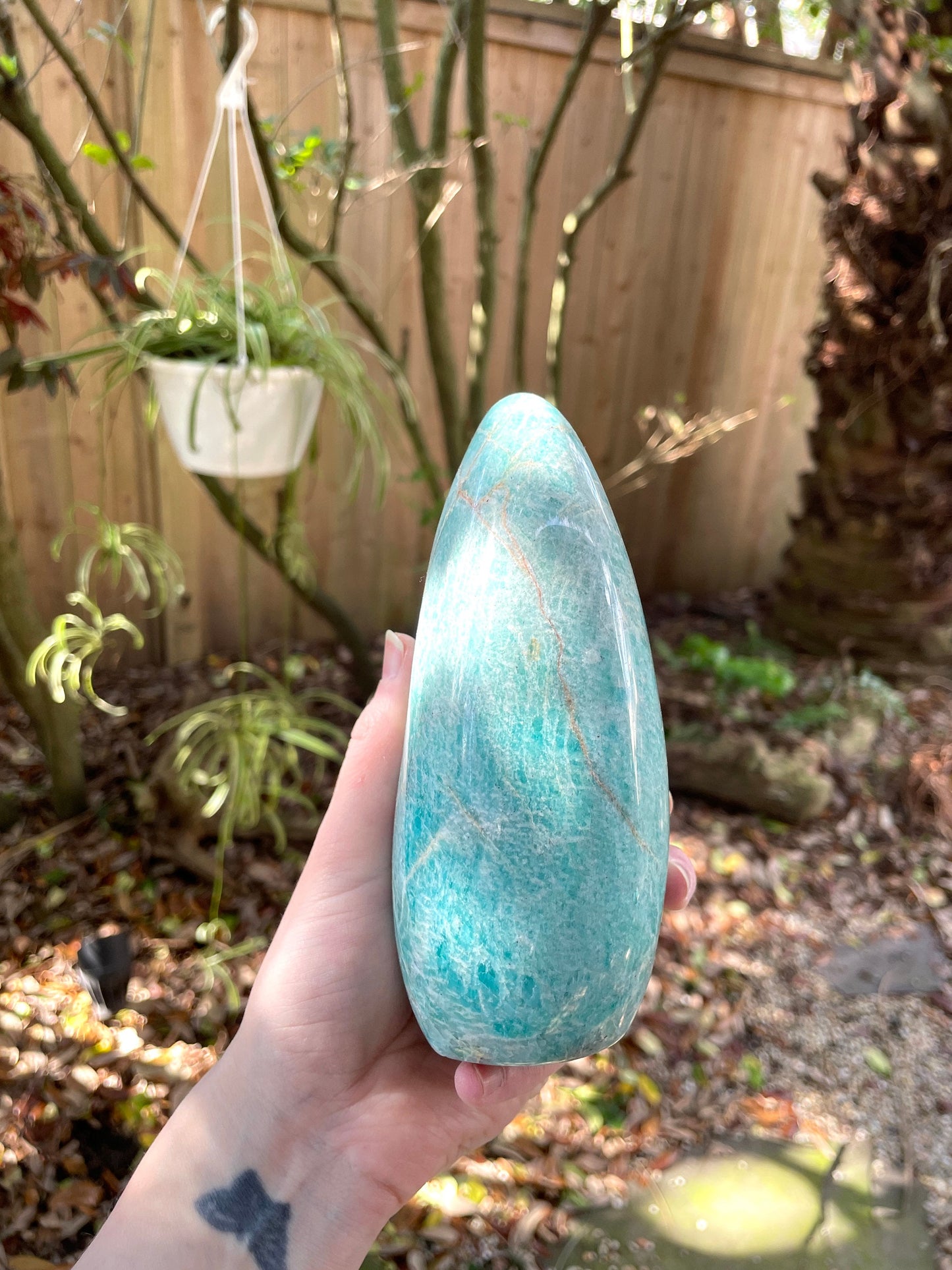 Vivid Polished Amazonite Free Form Display Specimen 830g 1lb 13.4oz From Madagascar