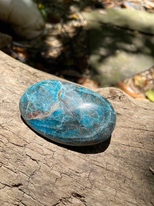 Blue Apatite Palm Stone from Madagascar 145.4g Specimen Mineral Crystal