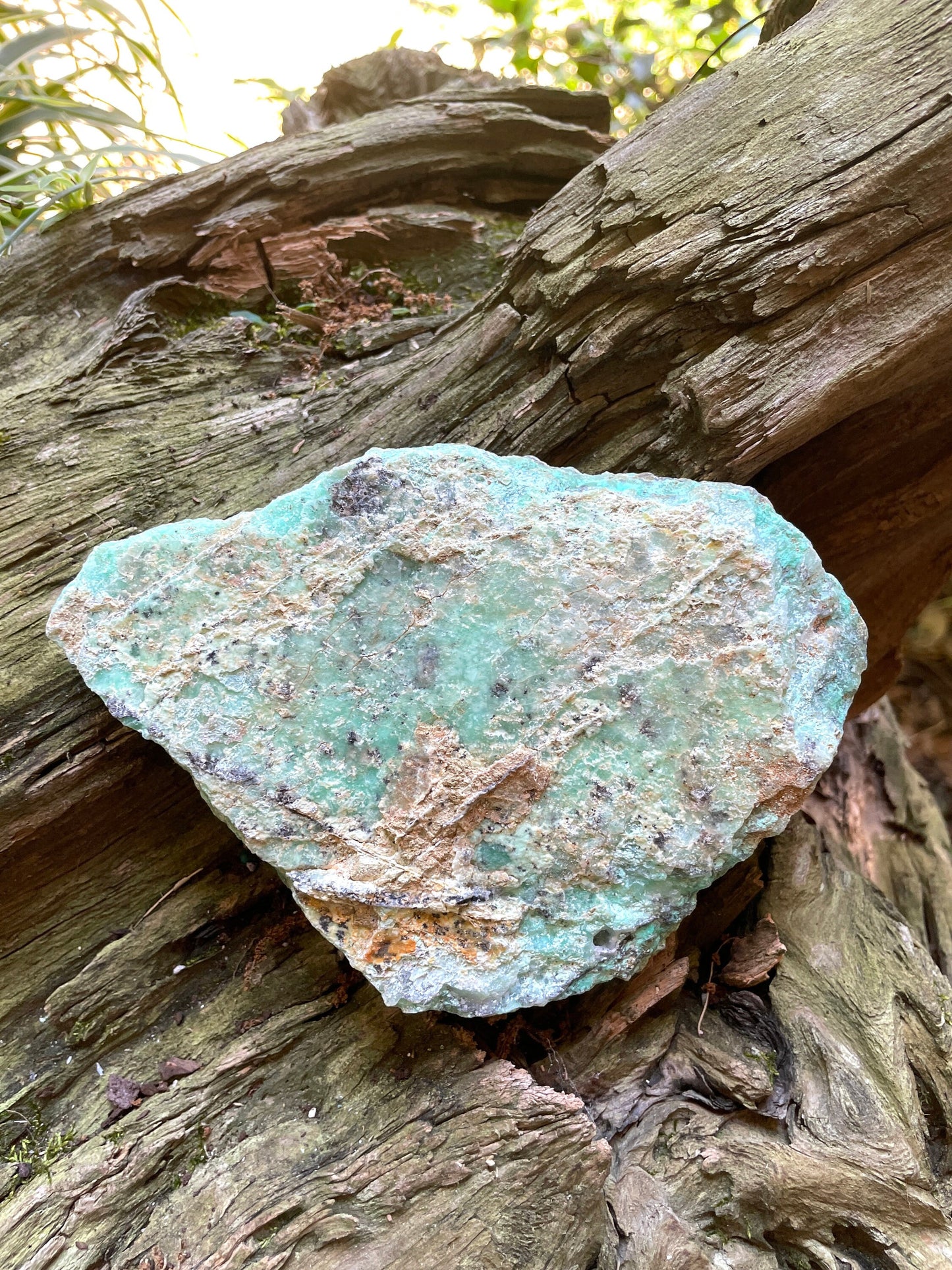 Rough/Raw Blue Green Chrysophrase from Brazil New Find 512g Mineral Crystal Specimen.
