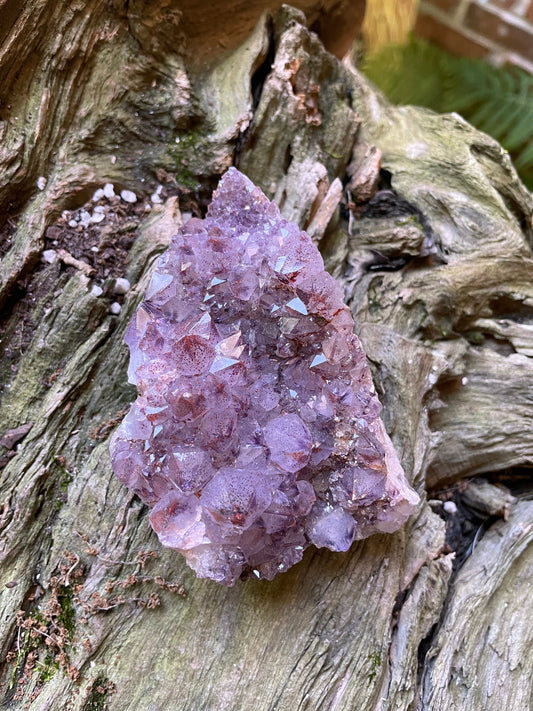 Thunder Bay Amethyst Ontario Canada 163.5g Specimen Amethyst with Hematite Mineral Crystal