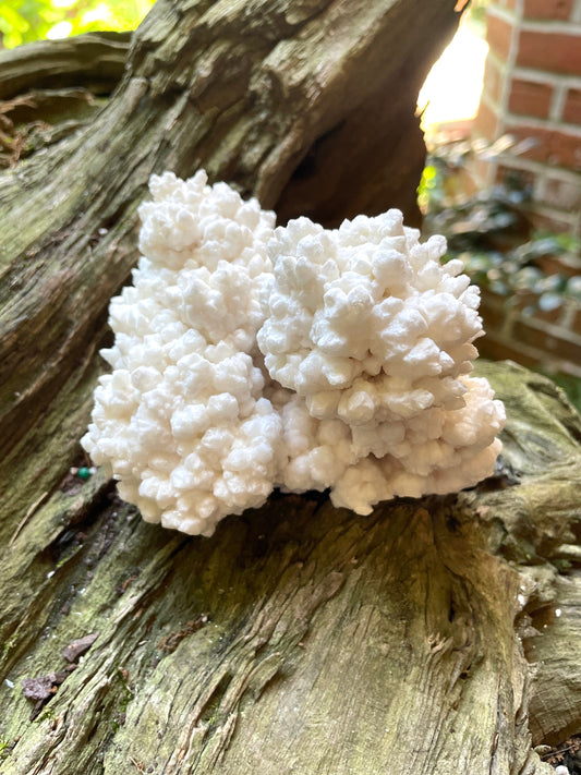 Aragonite Cave Calcite From Mina Potosi Chihuahua, Mexico 418g 14.7oz Specimen Mineral Crystal