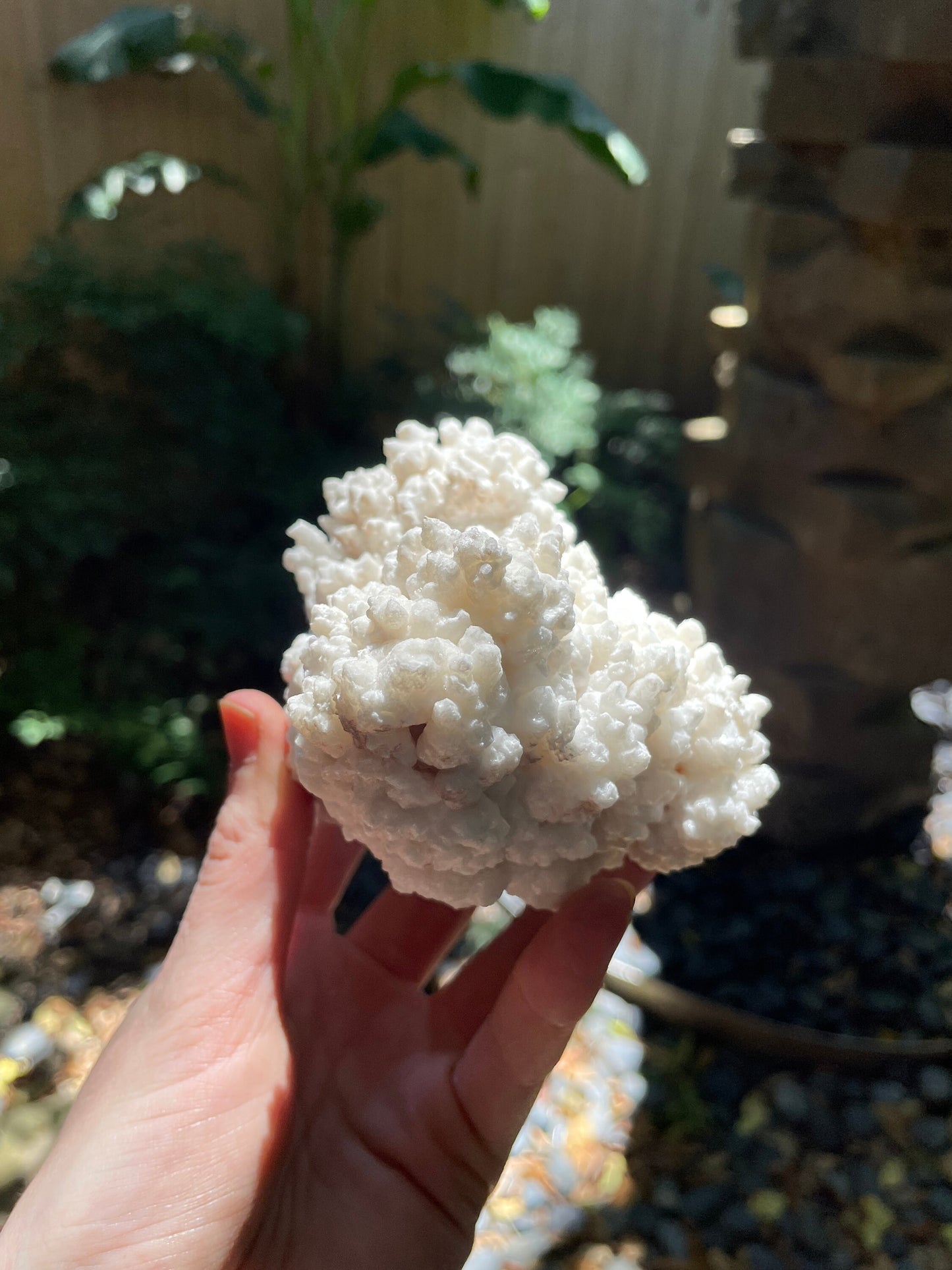 Aragonite Cave Calcite From Mina Potosi Chihuahua, Mexico 418g 14.7oz Specimen Mineral Crystal