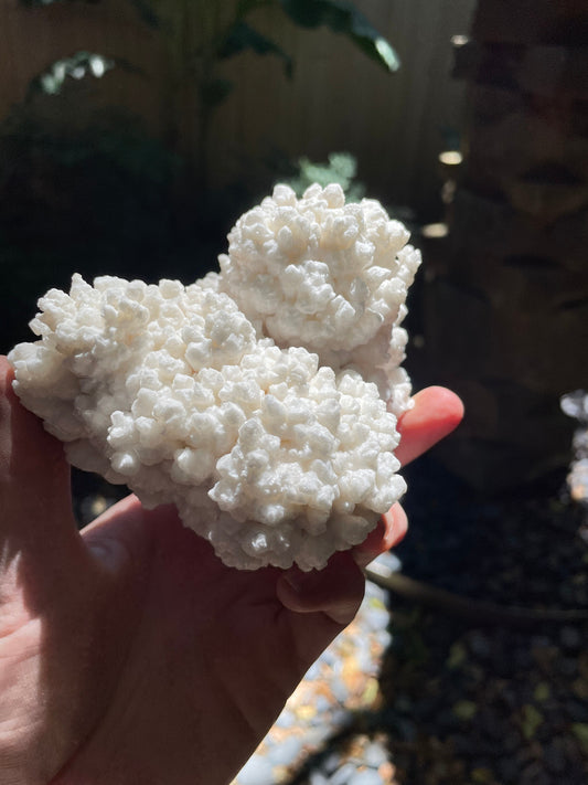 Aragonite Cave Calcite From Mina Potosi Chihuahua, Mexico 418g 14.7oz Specimen Mineral Crystal