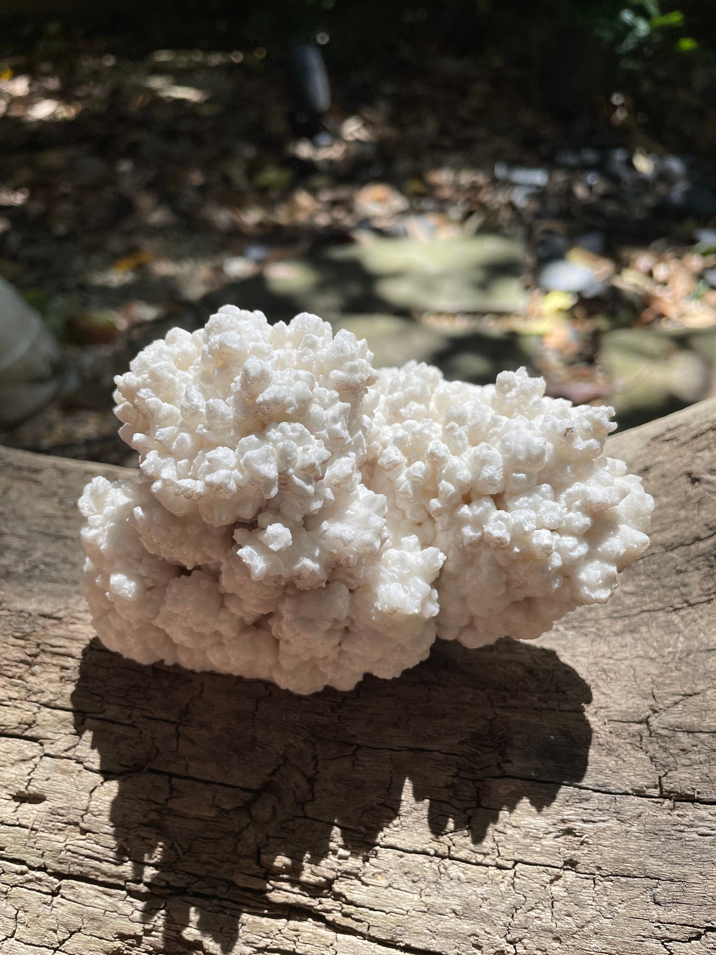 Aragonite Cave Calcite From Mina Potosi Chihuahua, Mexico 418g 14.7oz Specimen Mineral Crystal
