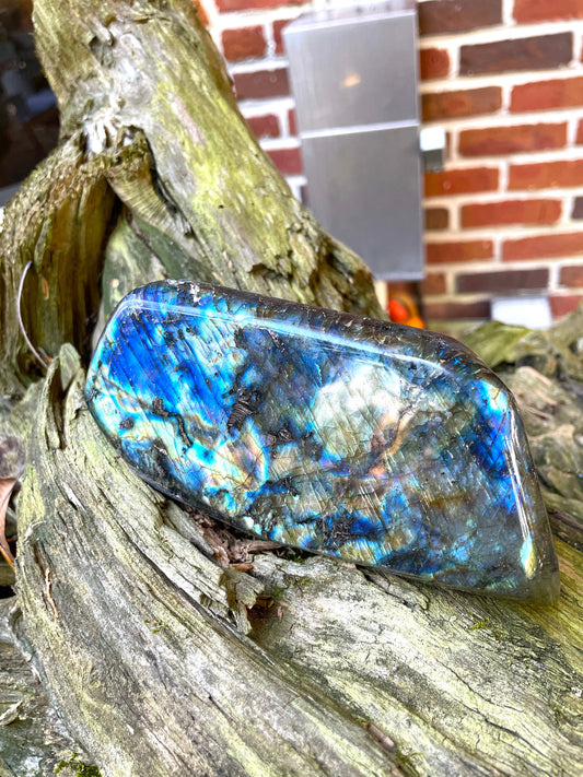 Polished Rainbow Labradorite Free Form 780g From Madagascar