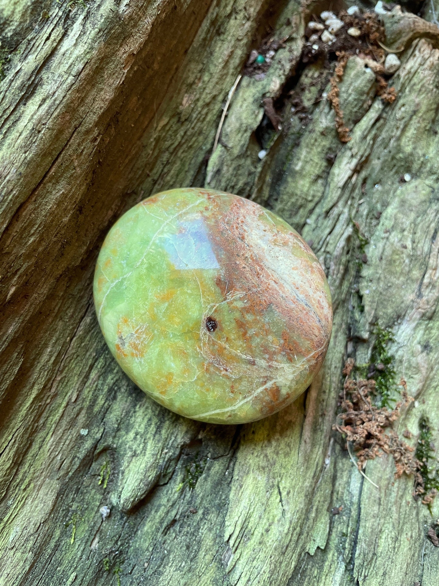 Polished Green Opal Palm Stone From Madagascar, Specimen 86.4g Mineral Crystal