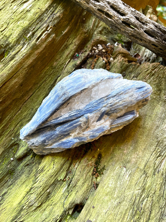 Blue Kyanite With Quartz 452g Specimen From Minas Gerais Brazil Specimen