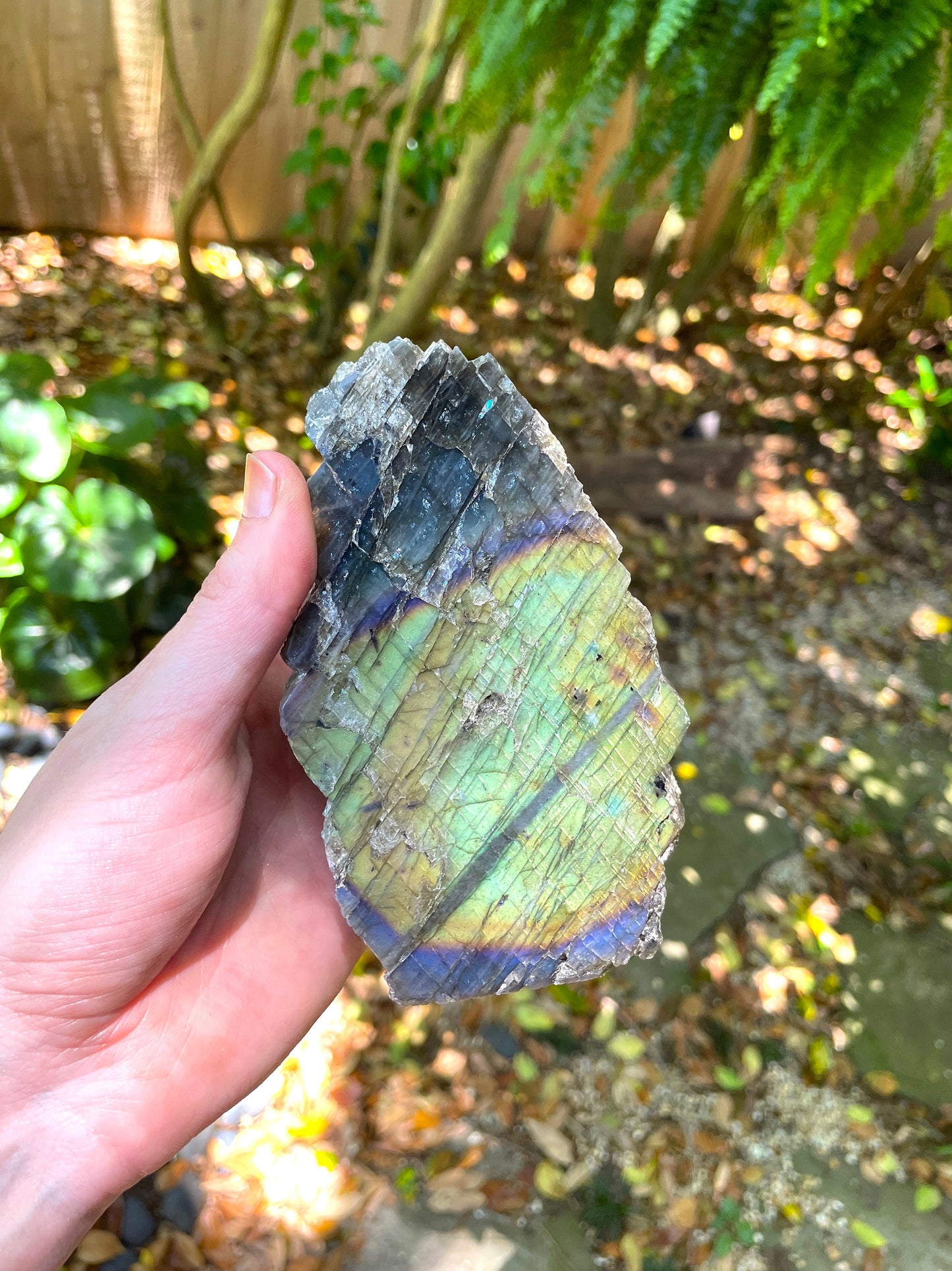 Half Polished Polished Rainbow Labradorite Free Form 594g From Madagascar