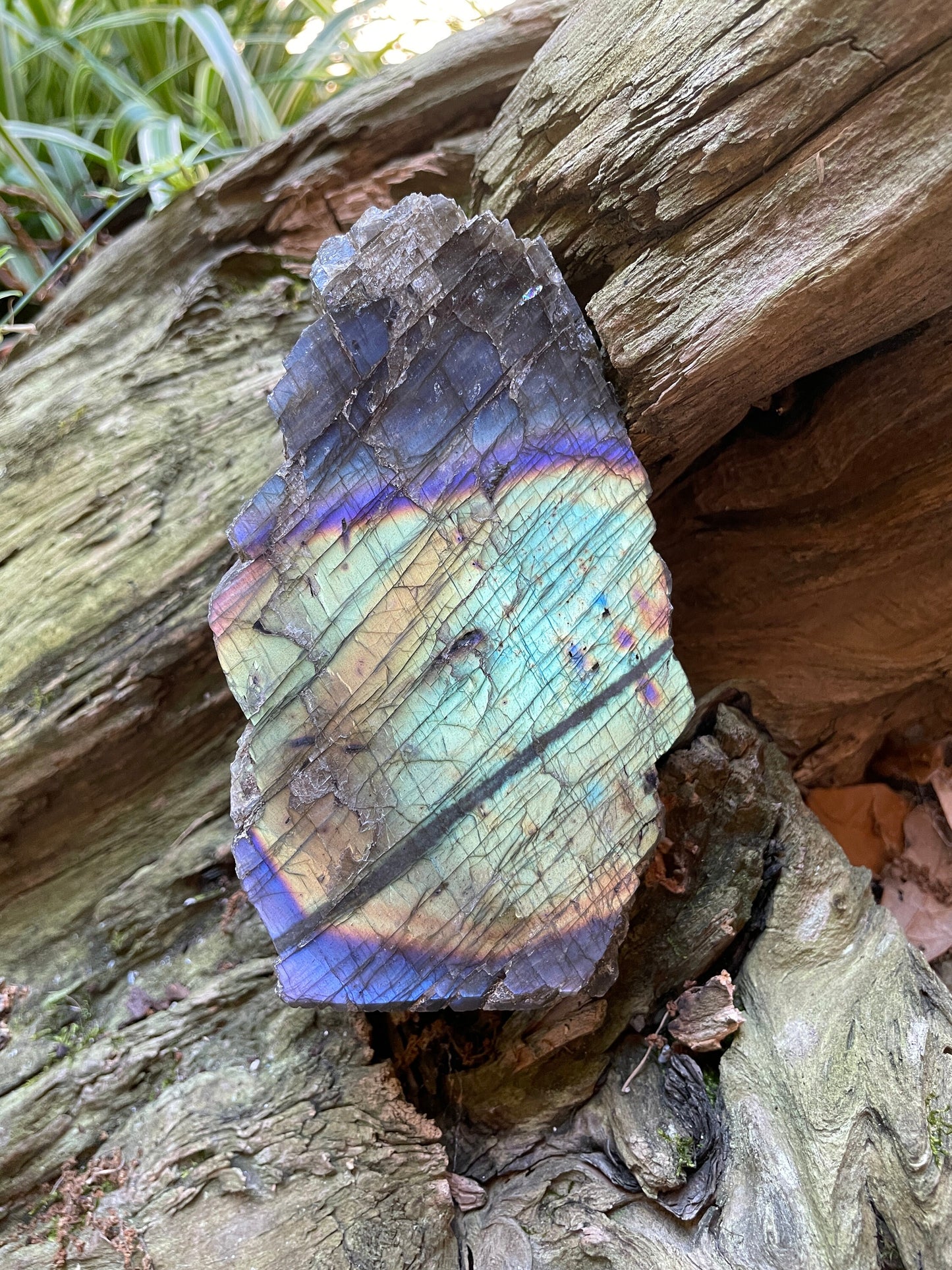 Half Polished Polished Rainbow Labradorite Free Form 594g From Madagascar